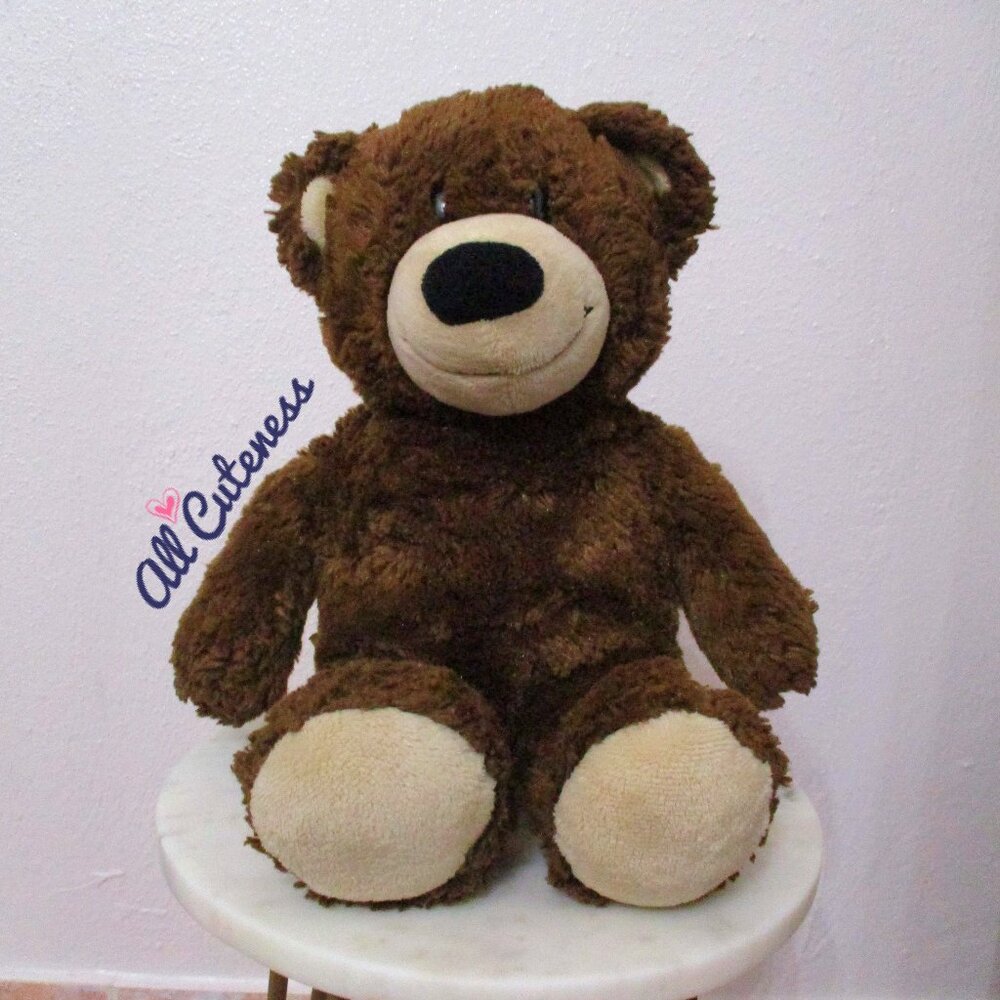 Brown Teddy Bear Plush
